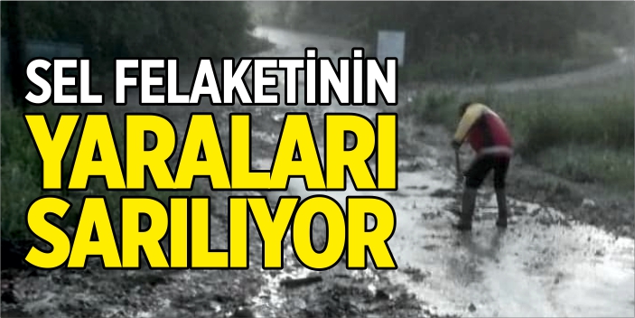 Sel felaketinin yaraları sarılıyor