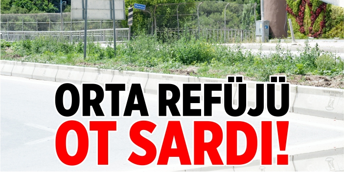 Orta refüjü ot sardı!