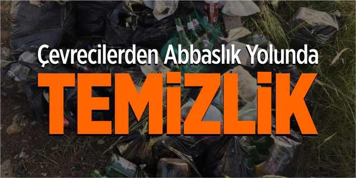 Çevrecilerden Abbaslık yolunda temizlik