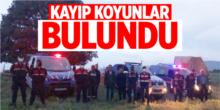 Kayıp koyunlar bulundu!