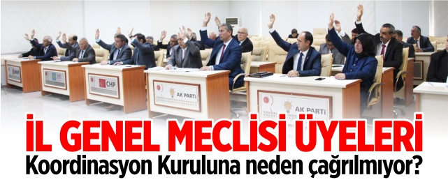 İl Genel Meclisi üyeleri koordinasyon kuruluna neden çağrılmıyor?