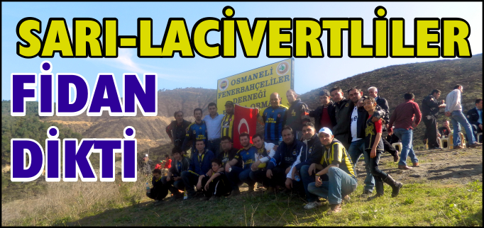 SARI LACİVERTLİLER FİDAN DİKTİ