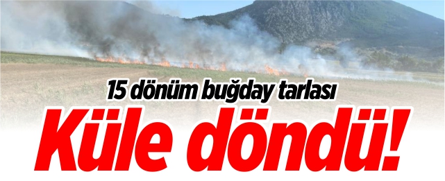 15 dönüm buğday tarlası küle döndü