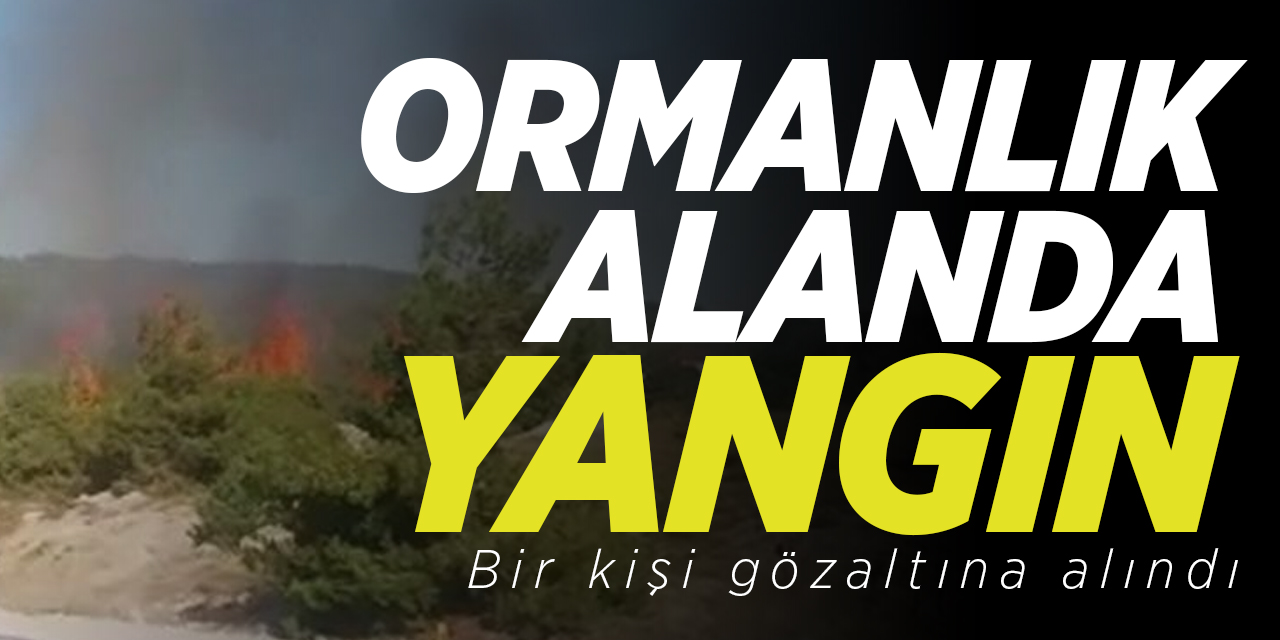 Ormanlık alanda yangın!