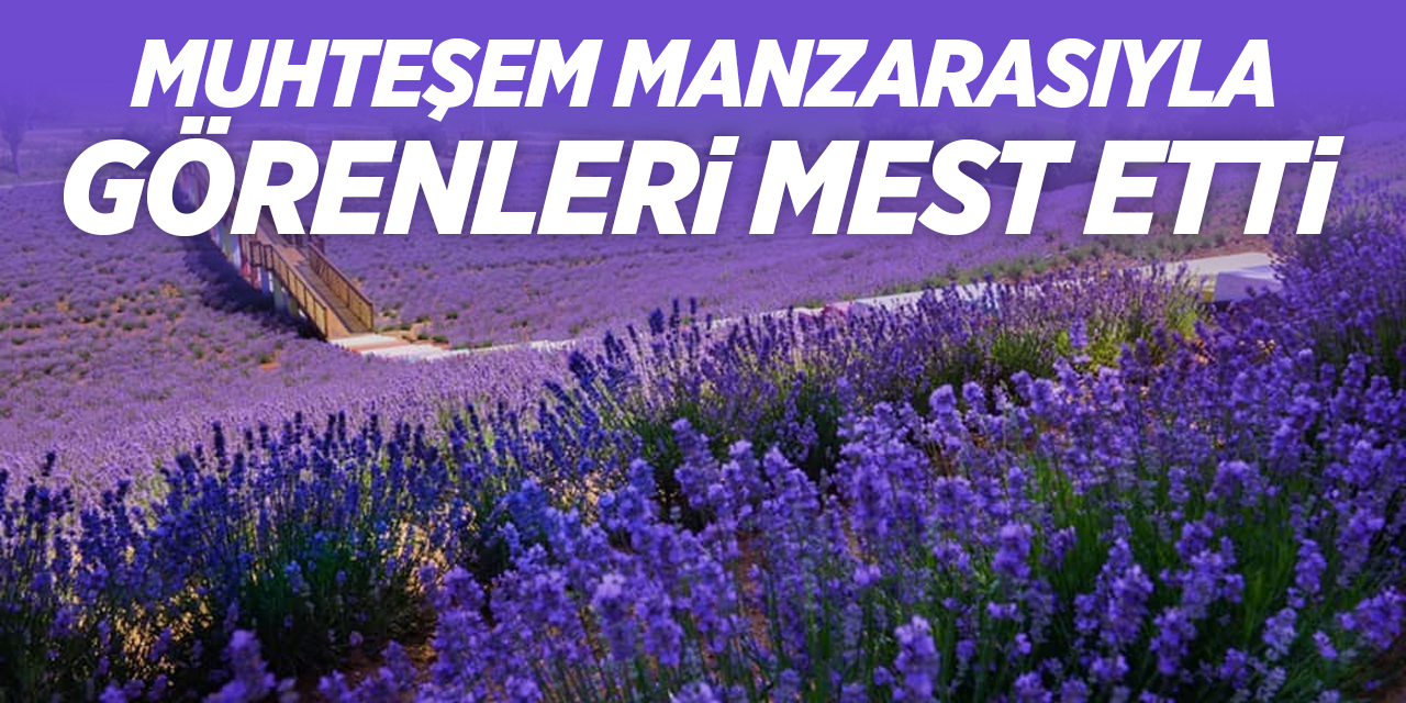 Muhteşem Manzarasıyla Görenleri Mest Etti