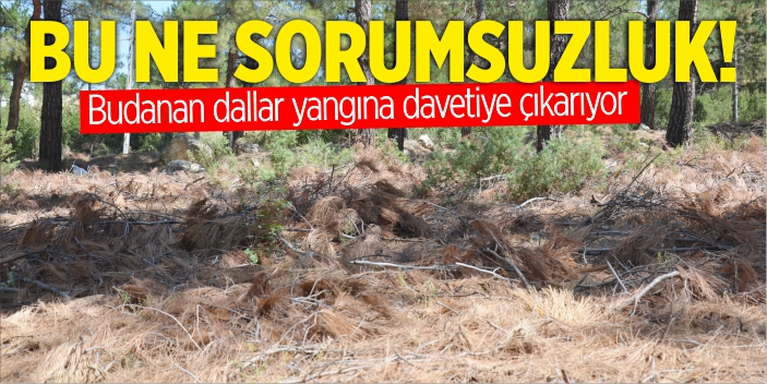 Bu ne sorumsuzluk!