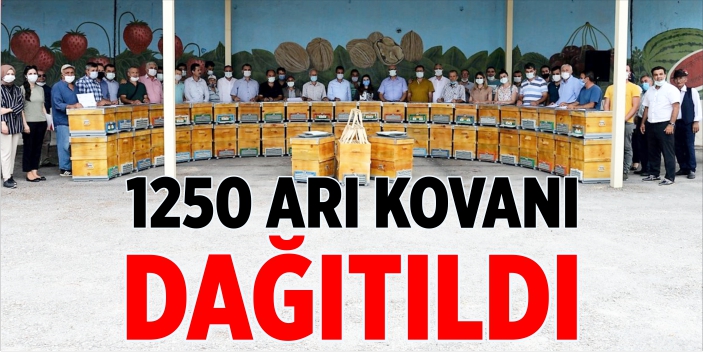 1250 arı kovanı dağıtıldı