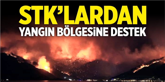 Bilecik'te STK'lardan yangın bölgesine destek