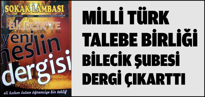 SOKAK LAMBASI ÇIKTI