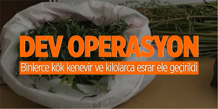 Bilecik'te dev esrar operasyonu!