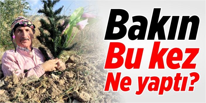 Bakın bu kez ne yaptı?