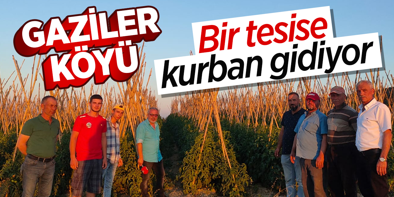 Gaziler Köyü bir tesise kurban gidiyor