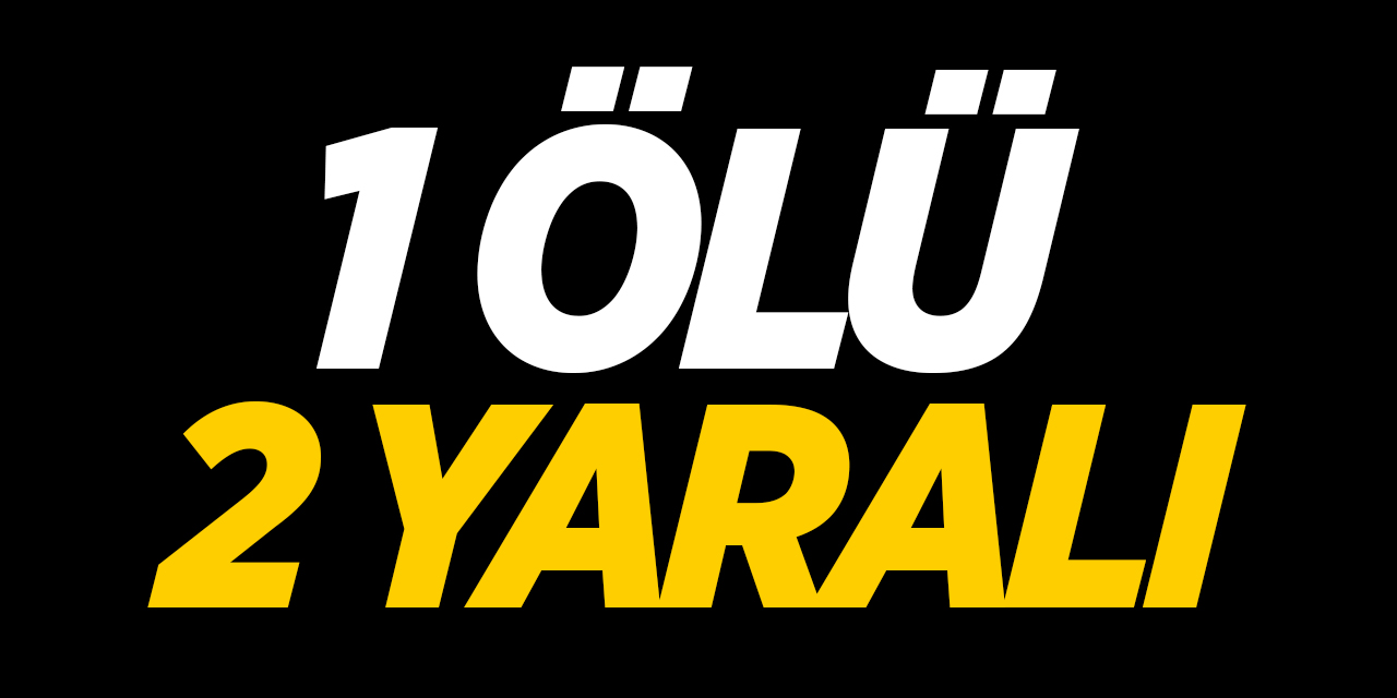 1 ölü 2 yaralı