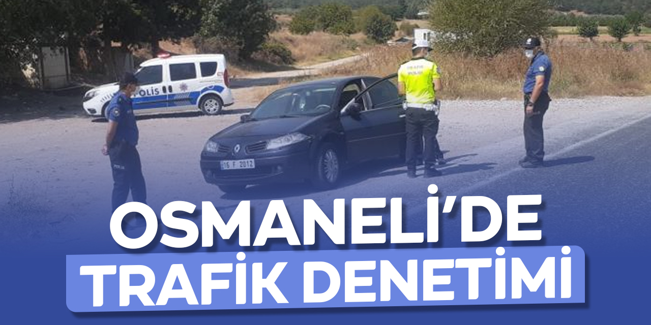 Osmaneli'de trafik denetimi