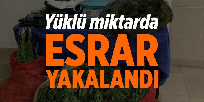 Yüklü miktarda esrar yakalandı