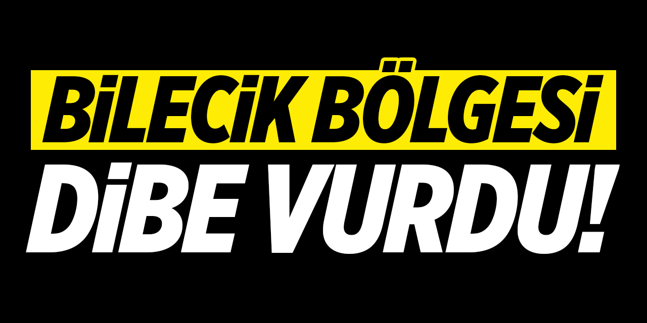 Bilecik Bölgesi Dibe Vurdu!