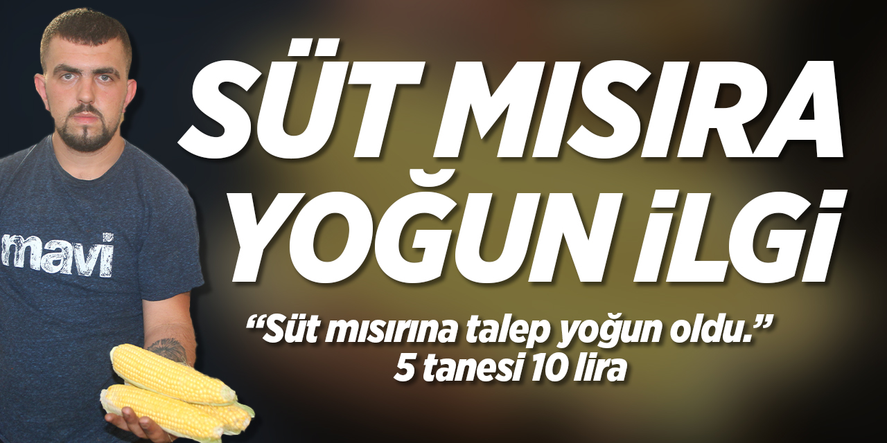 Bilecik'te süt mısırına yoğun ilgi