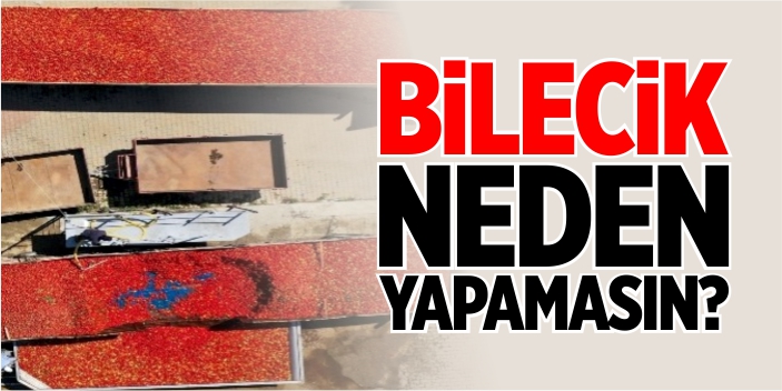 Bilecik neden yapamasın?