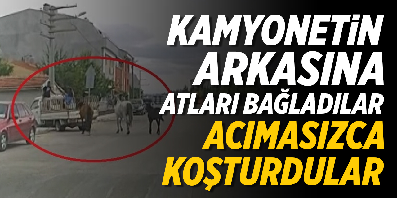 Kamyonetin arkasına atları bağladılar, acımasızca koşturdular