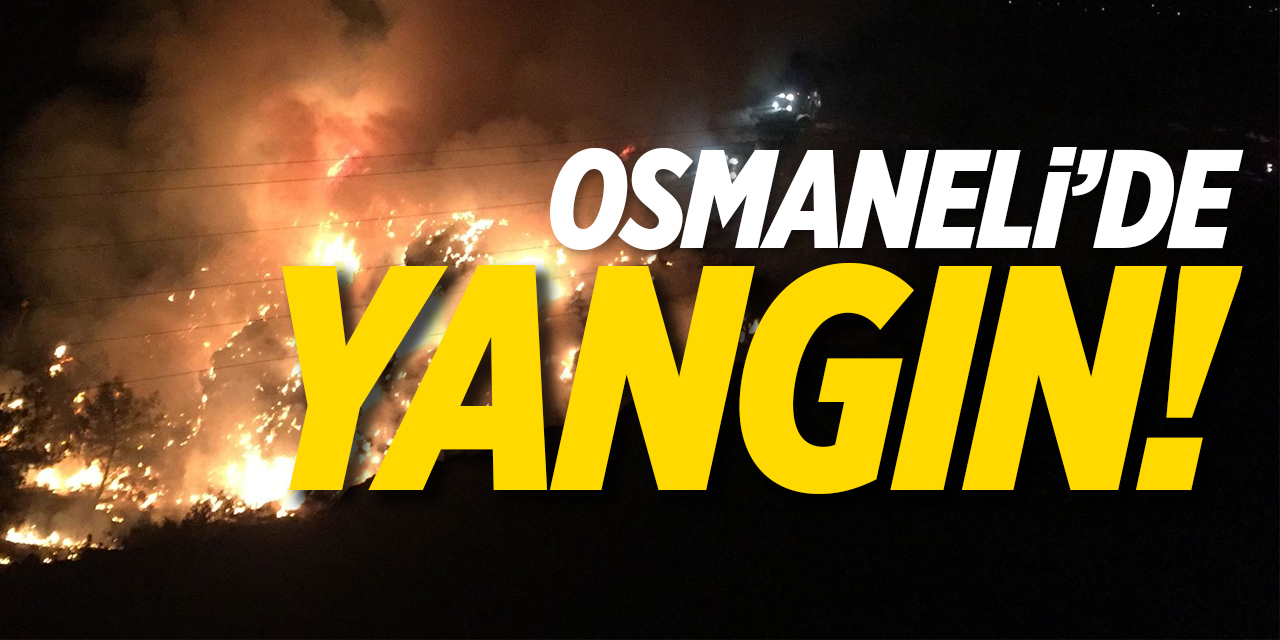 Osmaneli'de yangın!
