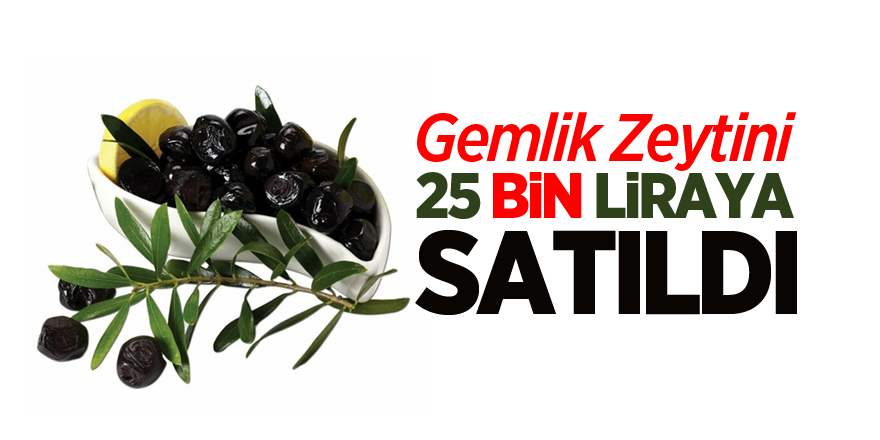 25 bin liraya satıldı