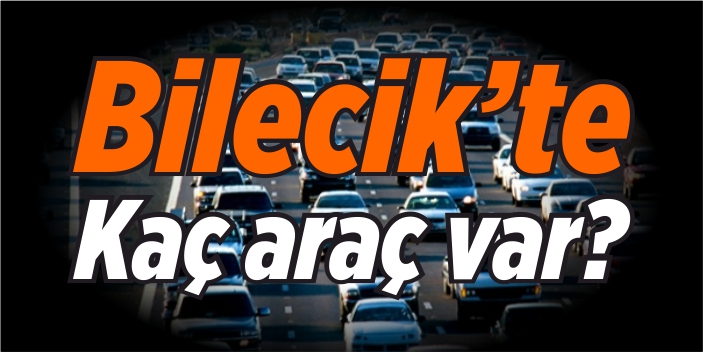 Bilecik'te kaç araç var?