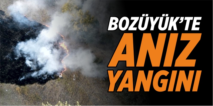 Bozüyük'te anız yangını