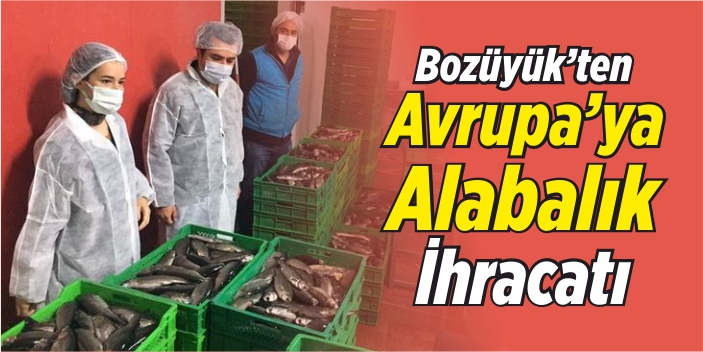 Bozüyük'ten Avrupa'ya alabalık ihracatı