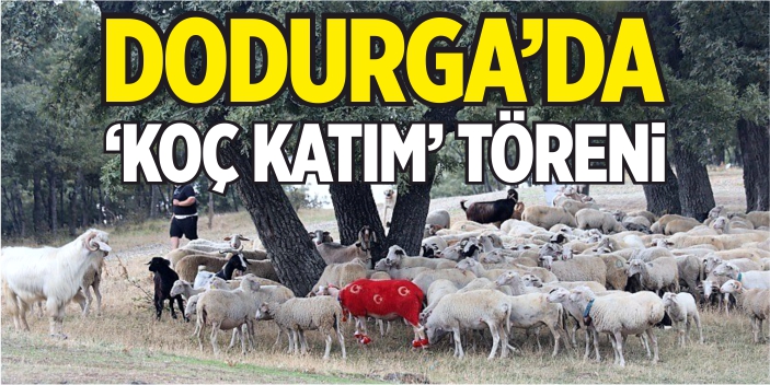 Dodurga'da 'Koç katım' töreni