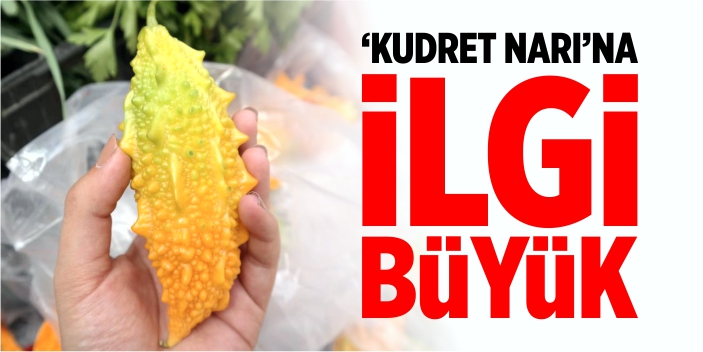 Bahçesinde yetiştirdiği kudret narını pazarlarda satıyor