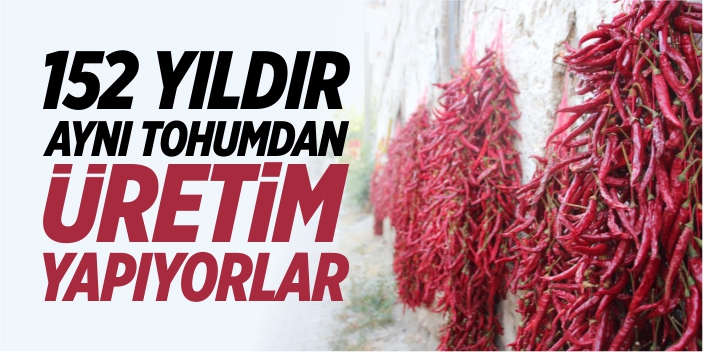 152 yıldır aynı tohumdan üretim yapıyorlar