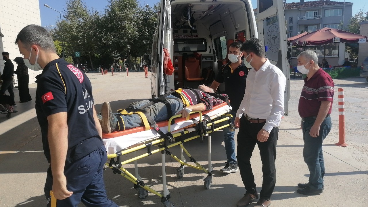Yaşlı adam ceviz ağacının kurbanı oluyordu