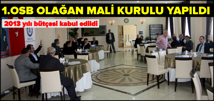 1.OSB OLAĞAN MALİ KURULU YAPILDI