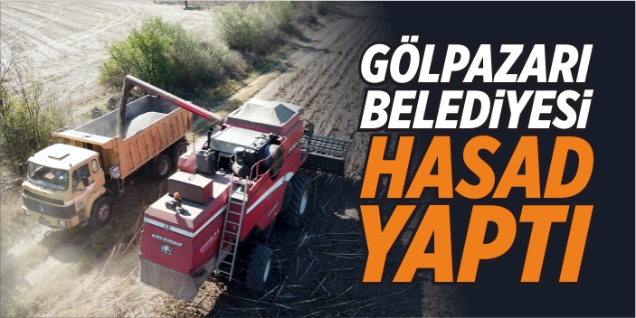 Gölpazarı Belediyesi, ayçiçeği hasadını yaptı