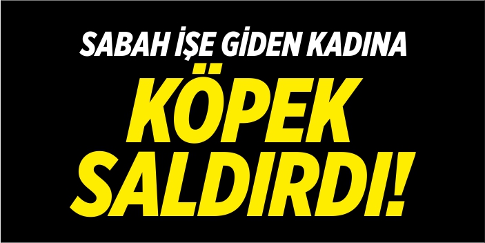 Sabah işe giden kadına köpek saldırdı