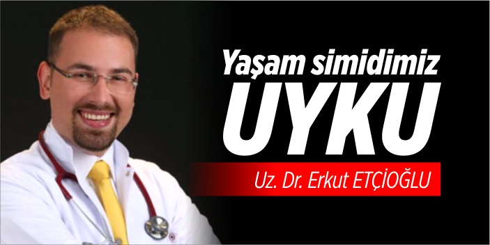 Yaşam simidimiz uyku