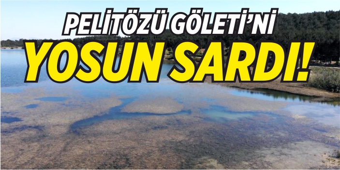 Pelitözü Göleti'ni yosun sardı