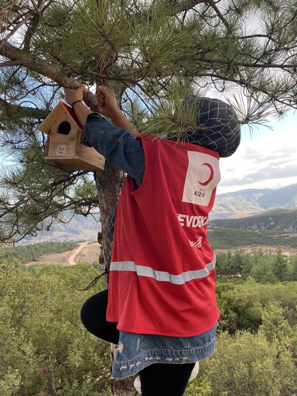 Ormanlık alana kuş kafesleri yerleştirerek hayvanlar için kaplara yem ve su koydular