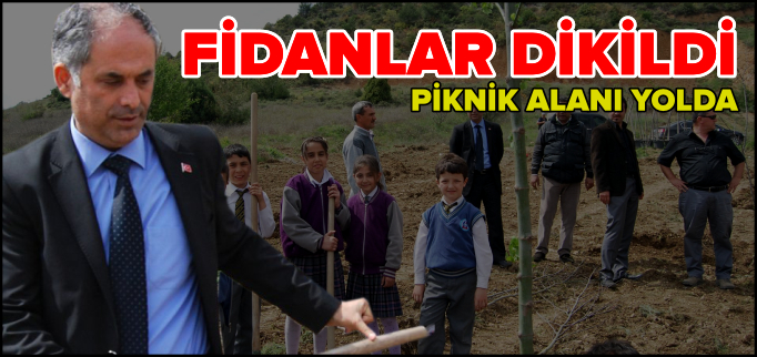 FİDANLAR DİKİLDİ, PİKNİK ALANI YOLDA