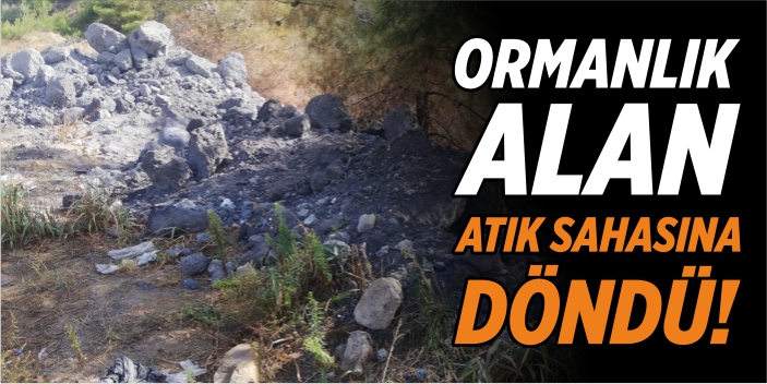 Ormanlık alan atık sahasına döndü!