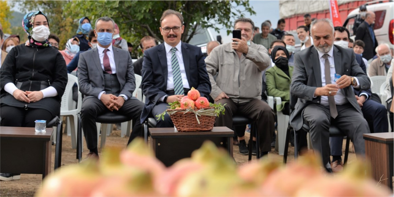 İnhisar'da nar şenliği