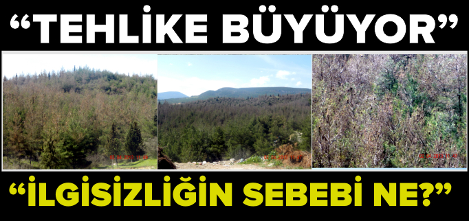 "TEHLİKE BÜYÜYOR"