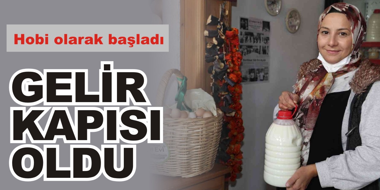 Hobi olarak başladı, şimdi gelir kapısı oldu