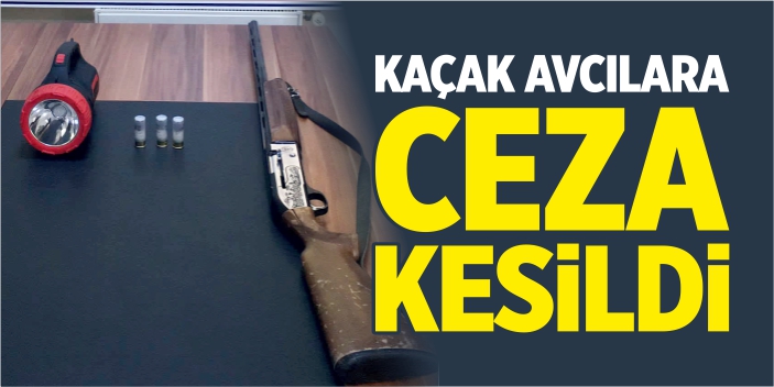 Kaçak avcılara ceza kesildi