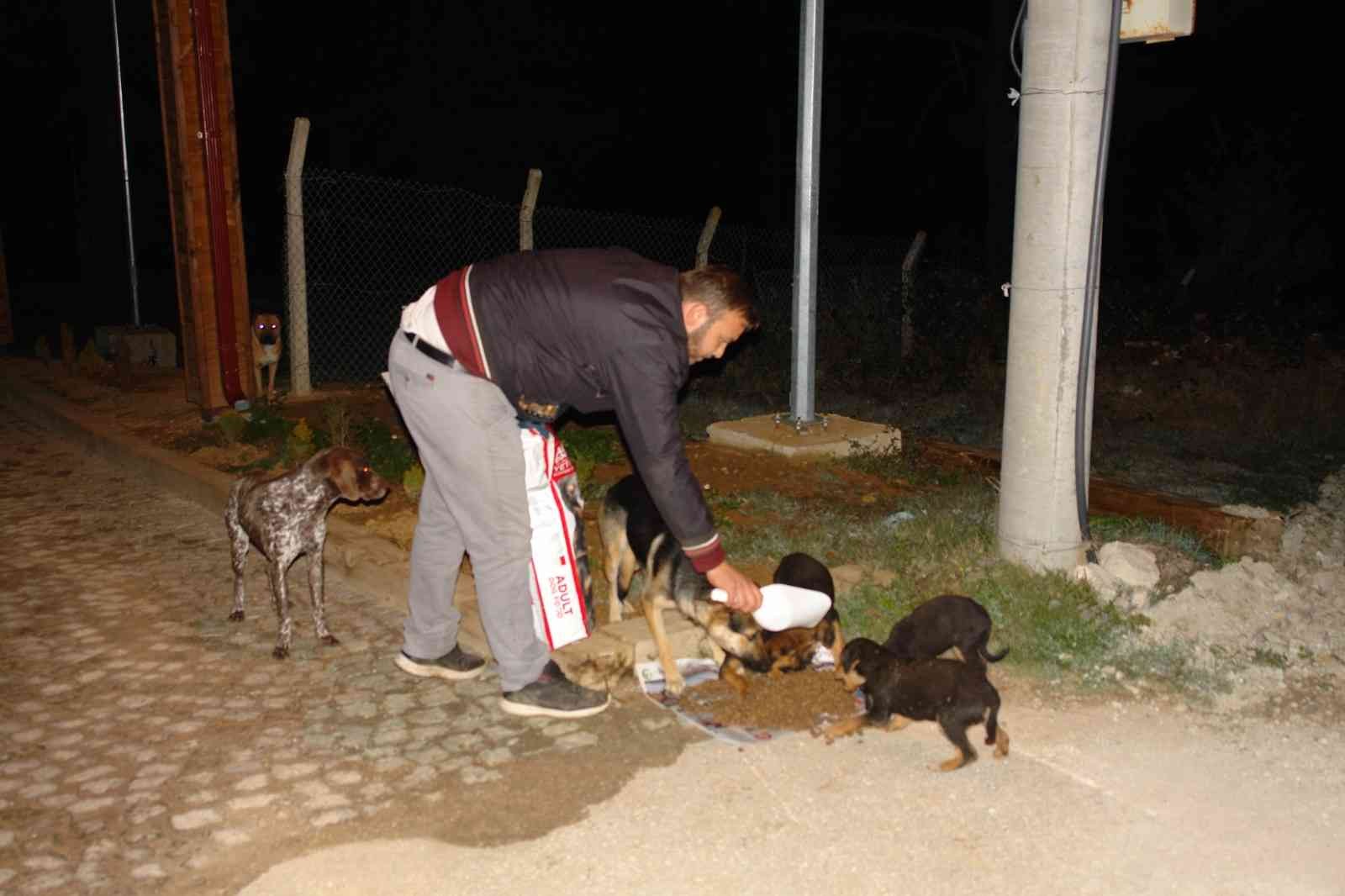 Duyarlı gençler, sokak hayvanlarını unutmadı