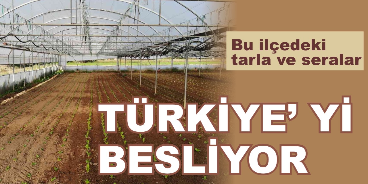 Bu ilçedeki tarla ve seralar Türkiye’yi besliyor
