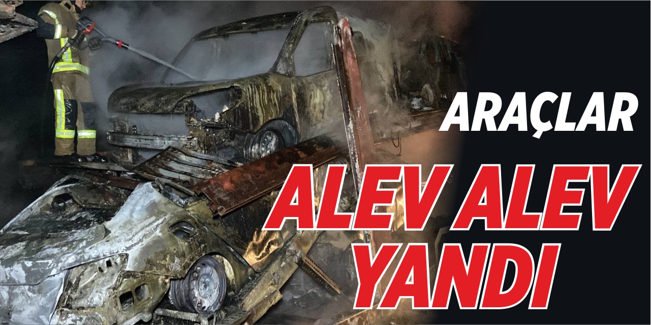 Sıfır Fiat marka araçlar alev alev yandı, sürücü fenalık geçirdi