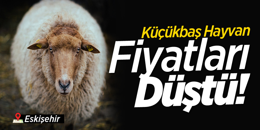 Küçükbaş hayvan fiyatları düşüşte