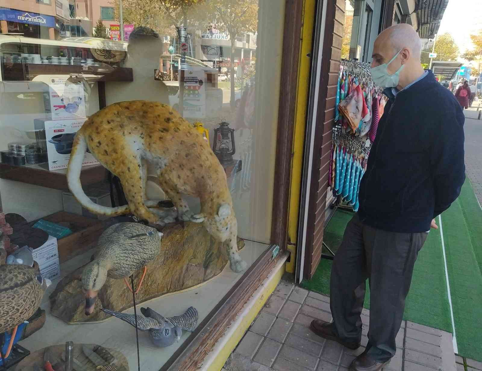 Bu dükkâna gelenleri geyikler ve çitalar karşılıyor