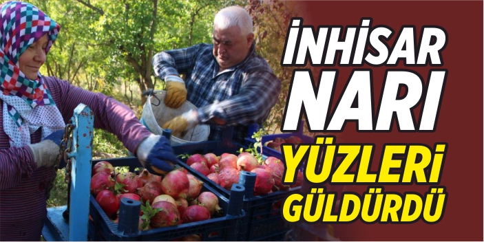 İnhisar narı yüzleri güldürdü